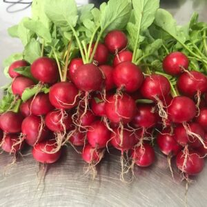 Organic radishes from Pattison Farms