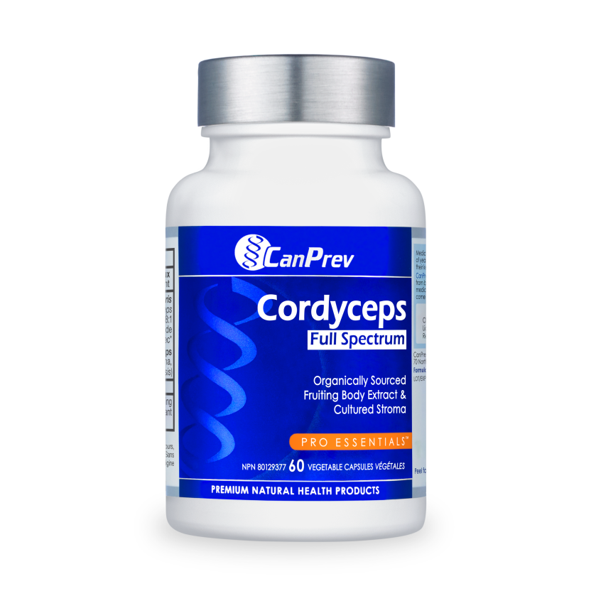 1730750800_886646503613-CP-Cordyceps-60vcaps-RGB-195690-V1_839_1430 1730750800_886646503613-CP-Cordyceps-60vcaps-RGB-195690-V1_839_1430