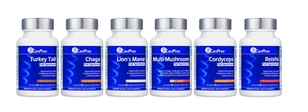 Mushroom FINAL PPT NS 3 Mushroom FINAL PPT NS 3