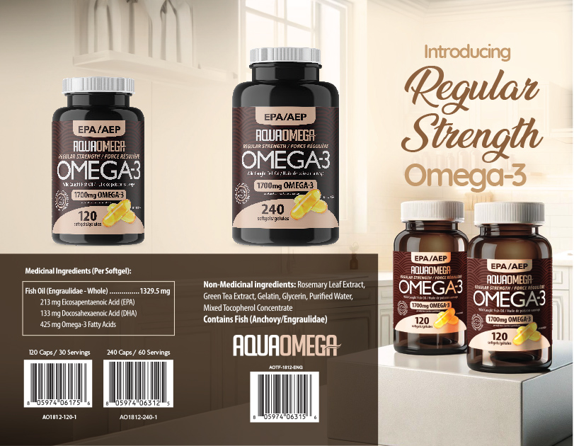 AO_Regular_Brochure_2023