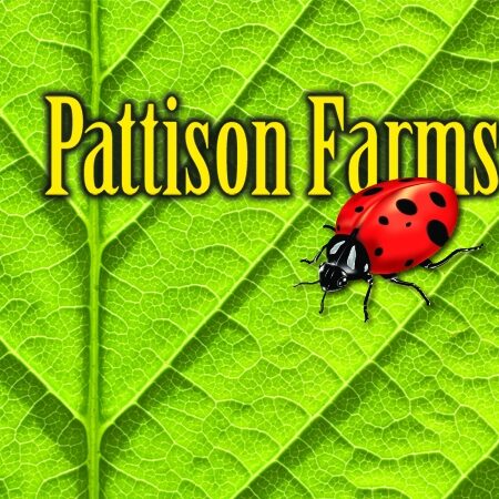 Pattison Farms
